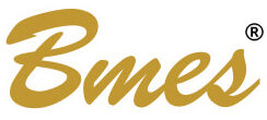 bmes